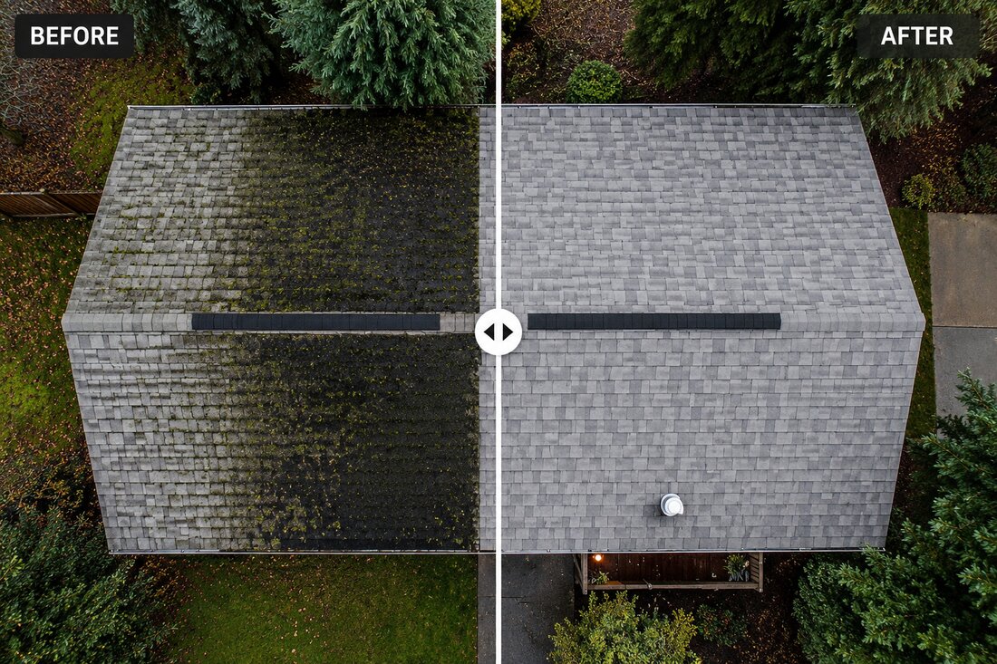 Roof Soft Wash before and after in Tigard, OR